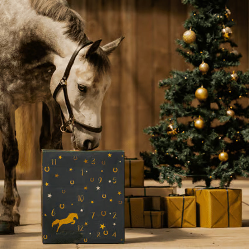 Brehn | Ponyleiste und Fransen Adventskalender 2024