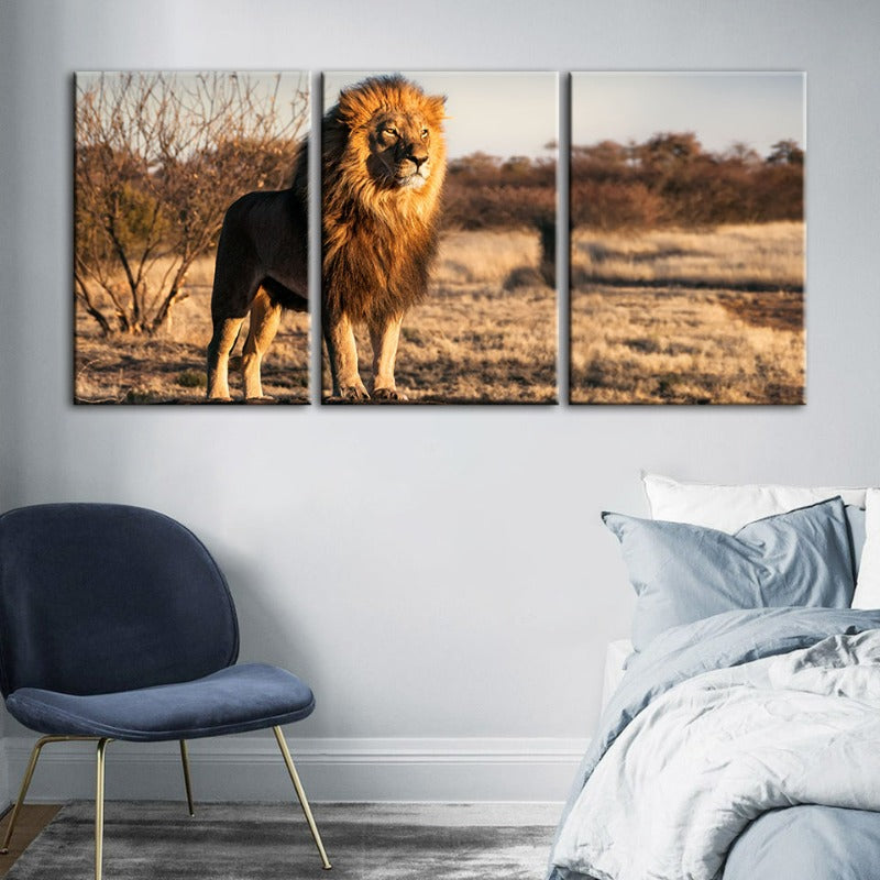Majestischer Löwe in Sonnenlicht gehüllt - Leinwand Wandkunst Gemälde 3 Teile