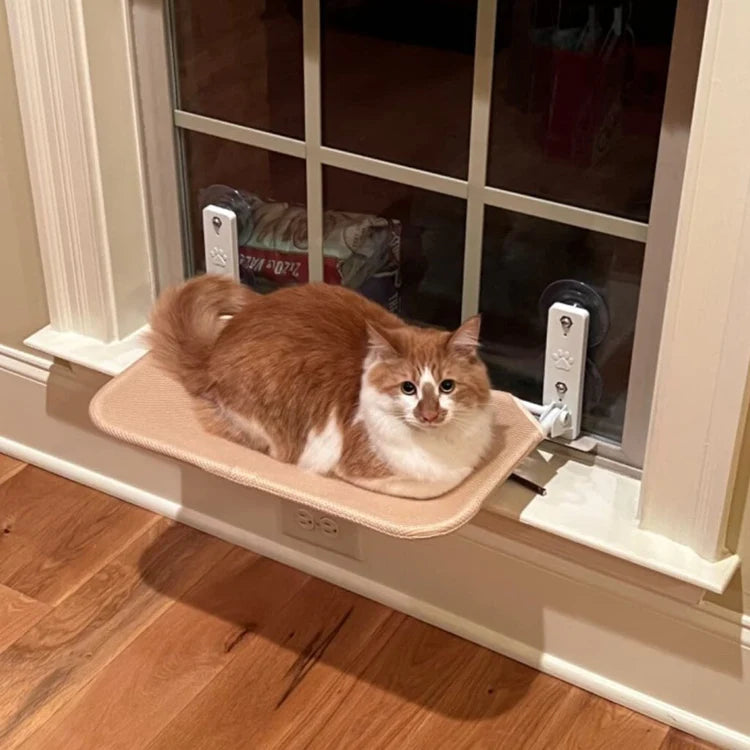 Gemütliche Katzen-Fensterhängematte