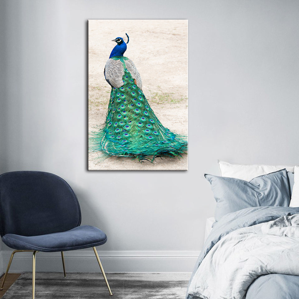 Eleganter Pfau im Rock – Leinwandbild