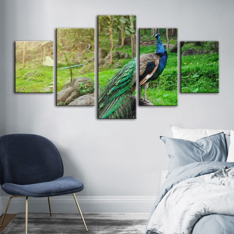 5-teiliges Würdevoller Sonnenbeschienener Pfau - Leinwand Wandkunst Gemälde