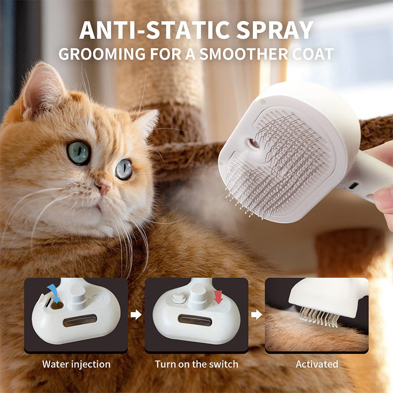 Brehn | Spray Katzenbürste