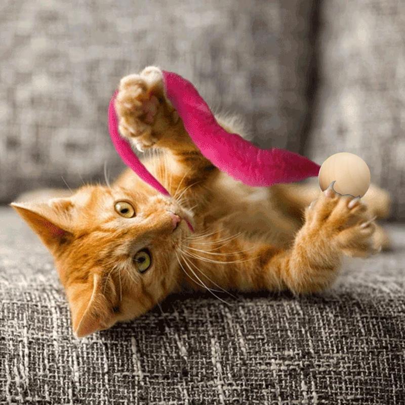 Brehn | Wiggly Katzen Spielzeug mit Glocken