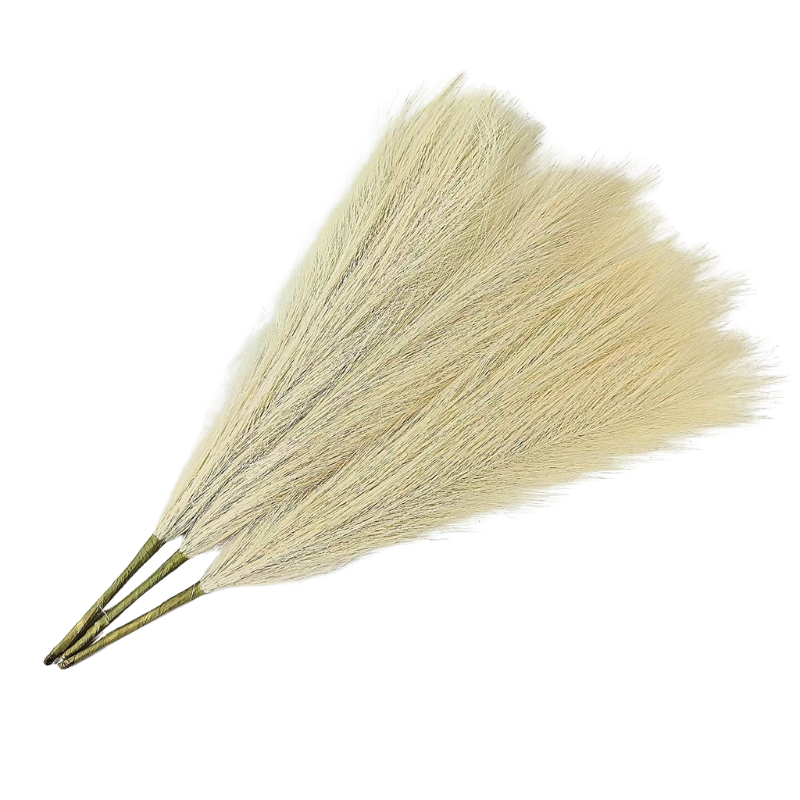 Brehn | PlumeNest