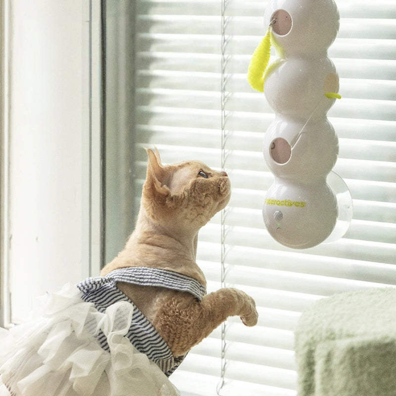 Brehn | Interaktives Elektrisches Raupe Katzen Spielzeug