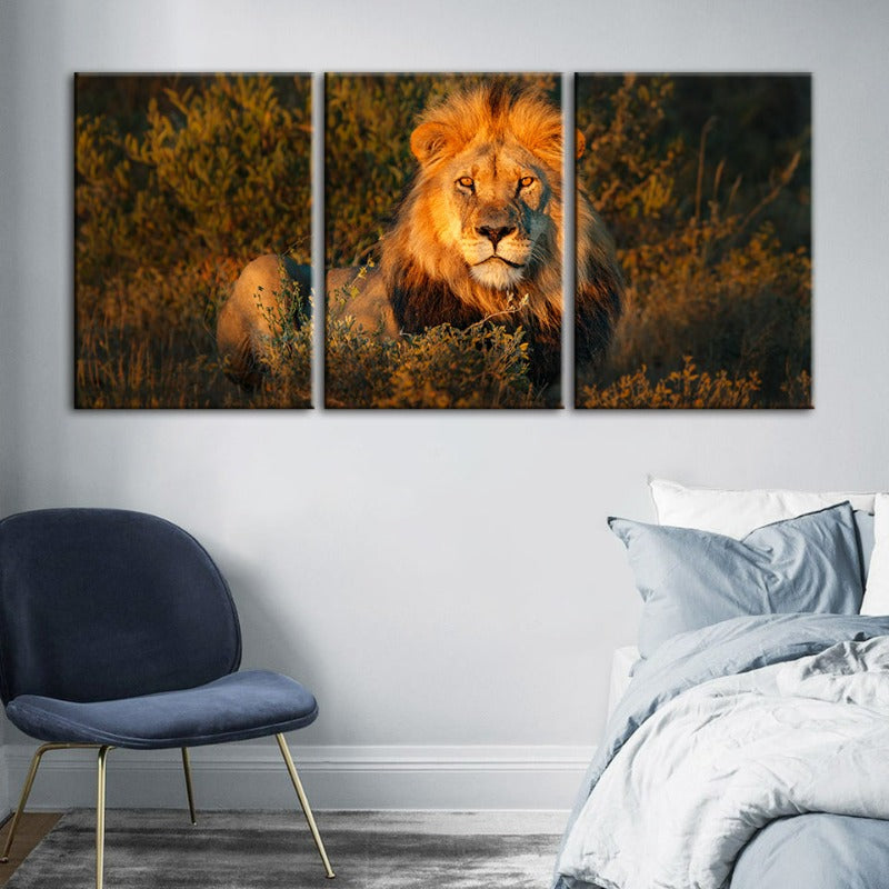 Göttliches Sonnenuntergang Löwe-Canvas Wandkunst Gemälde 3 Stück