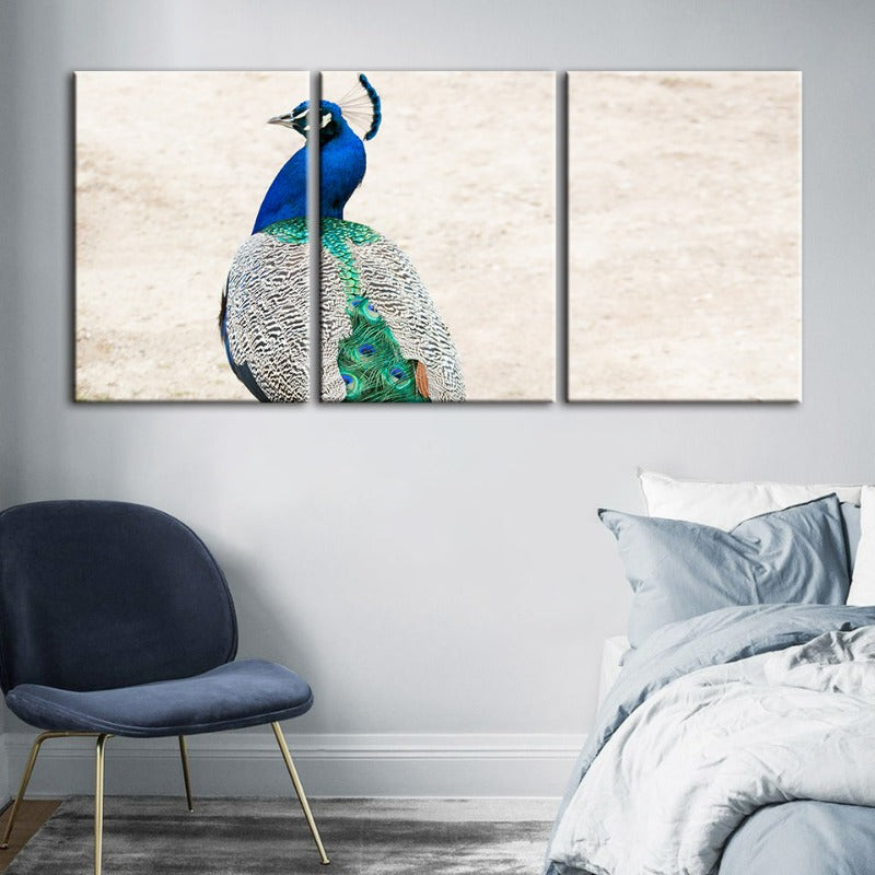 Elegantes Pfauenmotiv mit Rock – 3-teiliges Leinwandbild