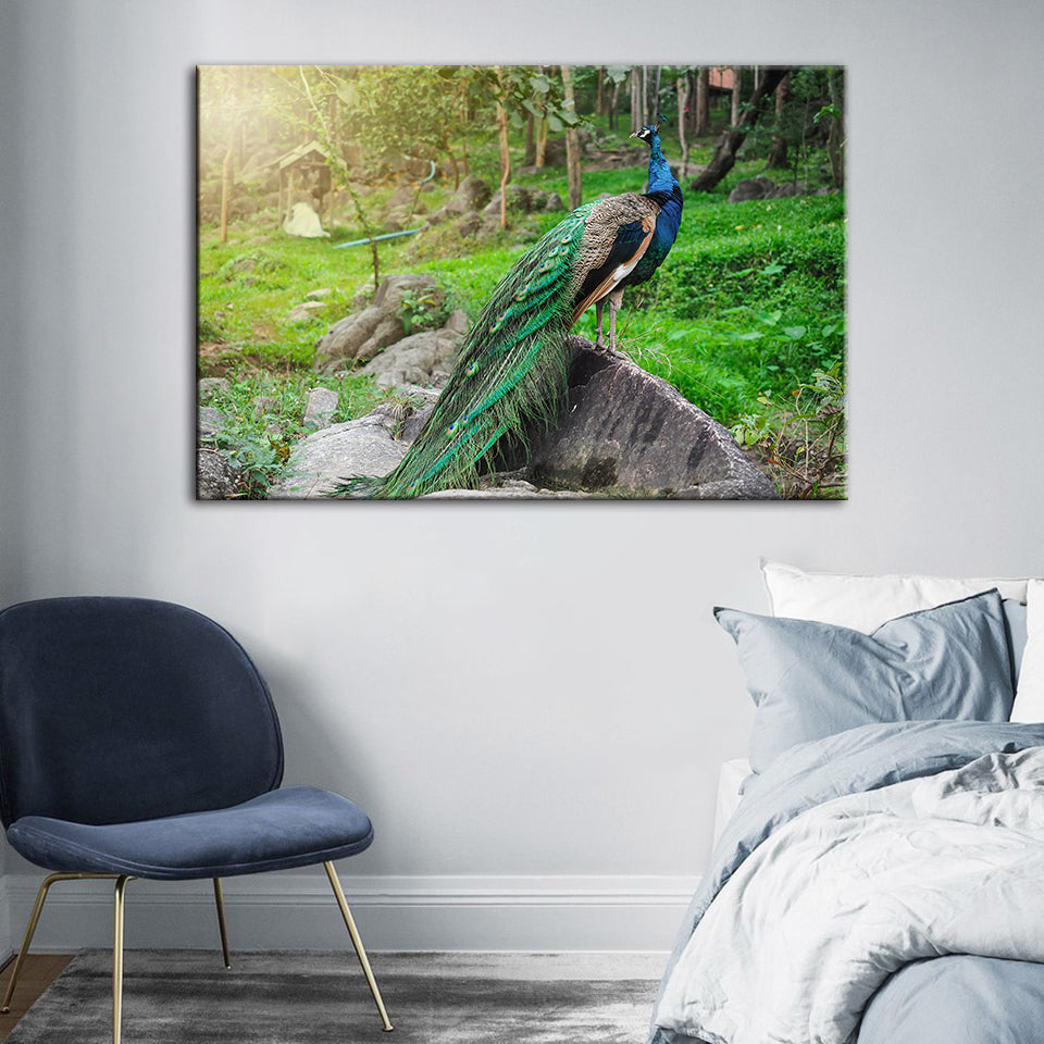 Würdevolle Sonnenlicht-Pfau - Leinwand Wandkunst Gemälde