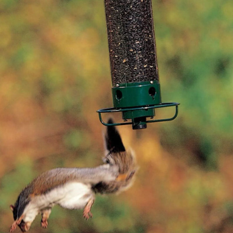 Eichhörnchensicherer Vogelhäuschen | Brehn