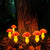Brehn | MoonlitMushrooms Solar Gartenlichter