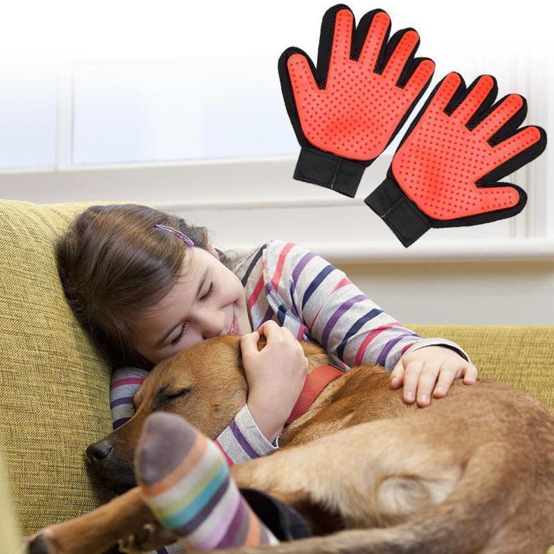Haushund Reinigungs Handschuhe | Brehn