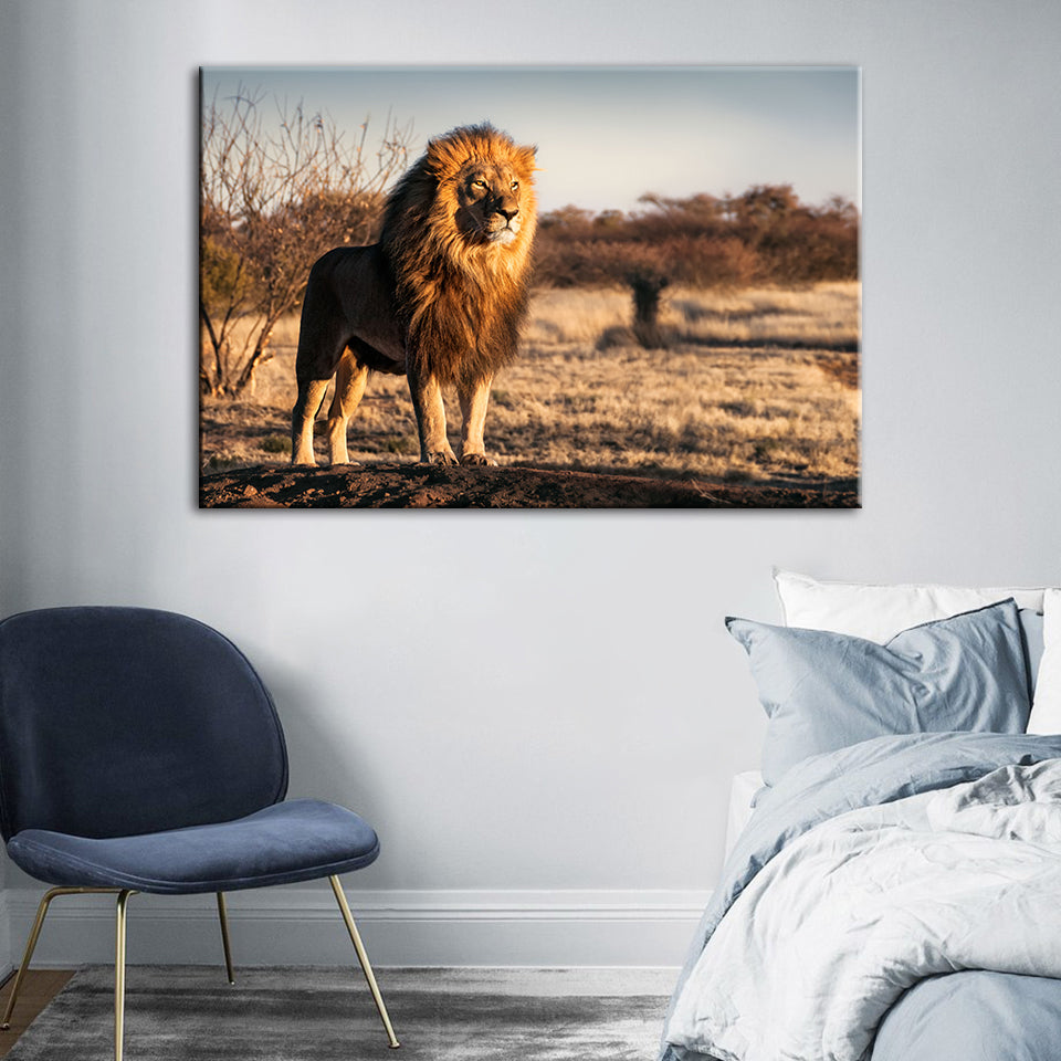 Majestischer Löwe, von Sonnenlicht durchflutet - Leinwand Wandkunst Gemälde