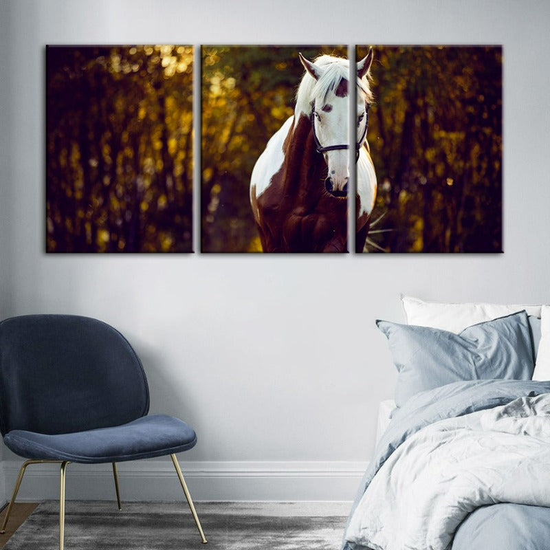 Courtly Overo Pferd – Leinwandbild, 3-teilig