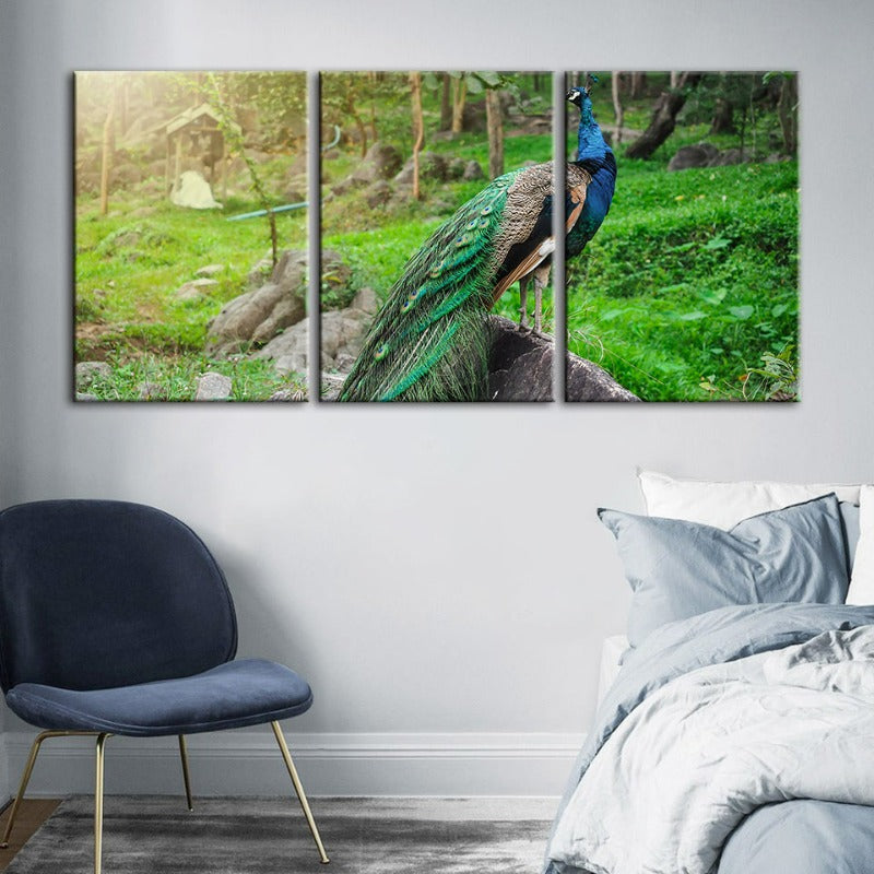 Würdevolles Sonnendurchflutetes Pfau-Leinwand Wandkunst Gemälde 3 Stück