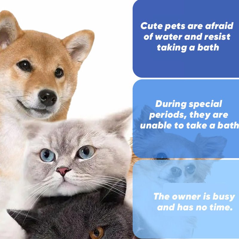 Brehn | Haustier-Handschuh-Tücher für Hunde & Katzen