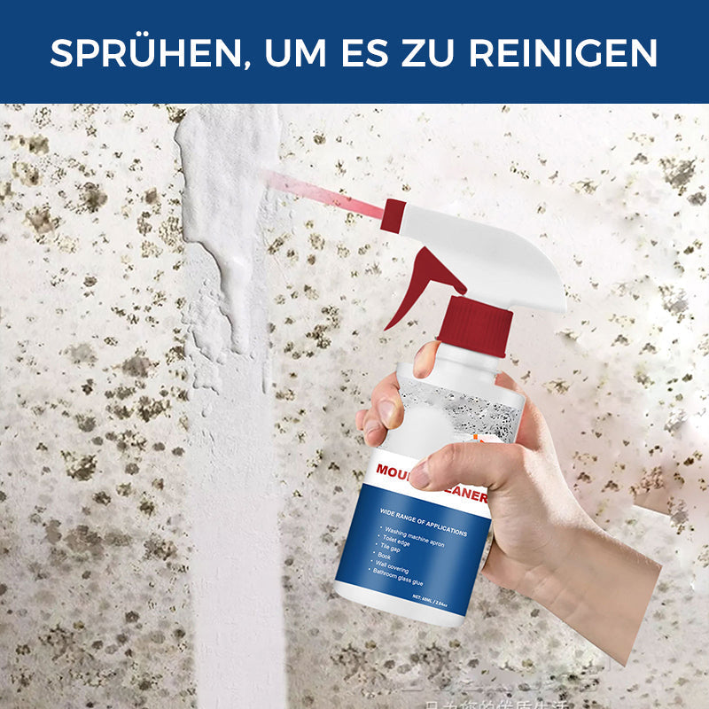 Anti-Schimmel-Reinigungsschaum | Brehn