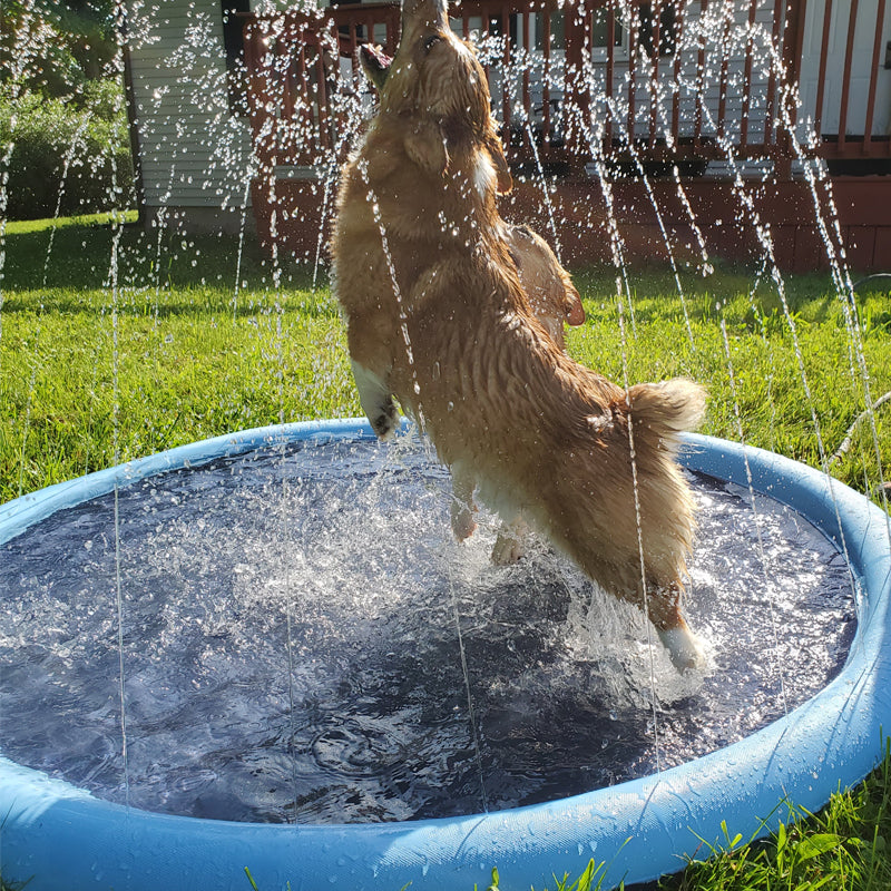 Brehn | Hund Sprinkler Pool 59''x59''