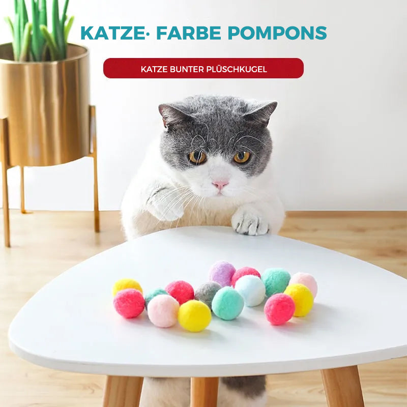 Interaktives Spielzeug für Katzen（30 Stücke） | Brehn