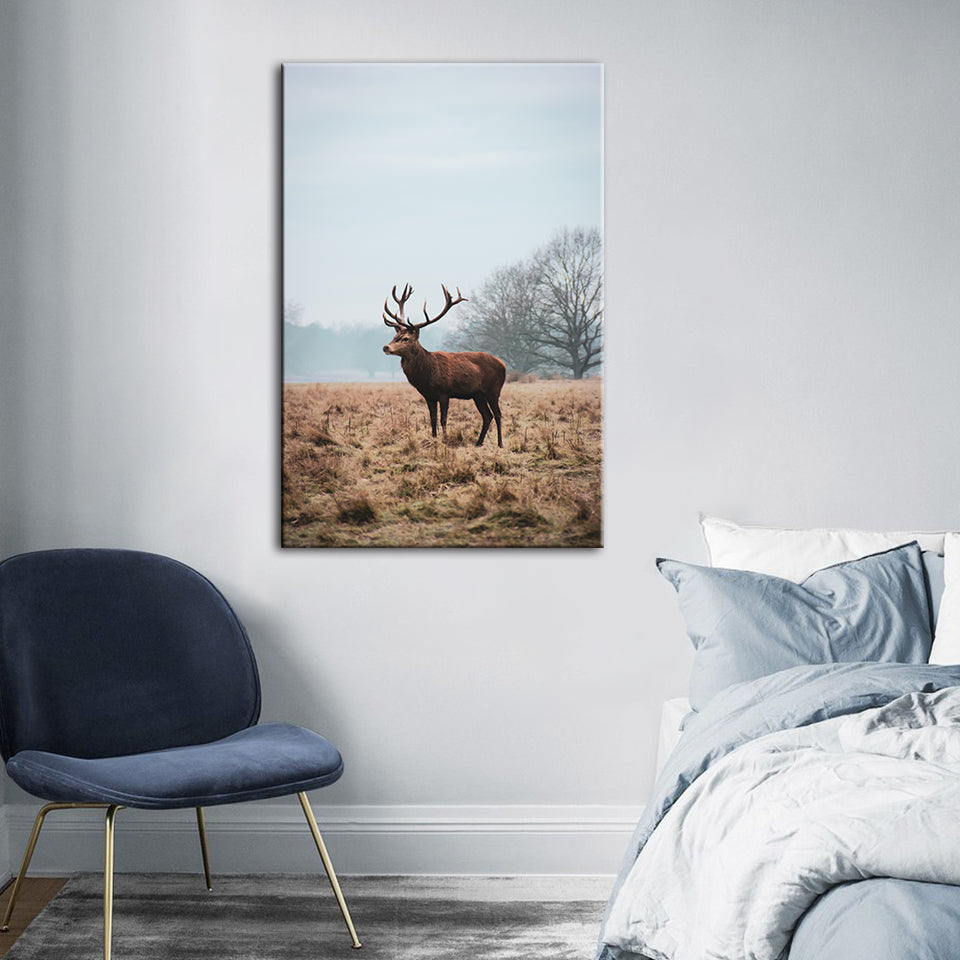Majestätischer Hirsch in der Ebene - Leinwandbild