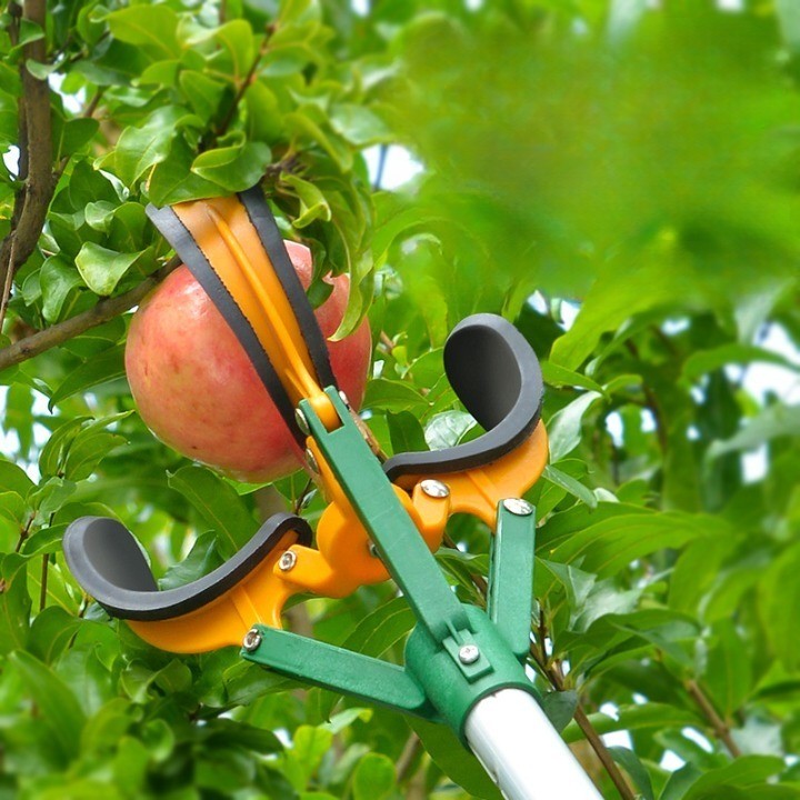 VIvolux | Sky High Teleskopgriff Obstpicker