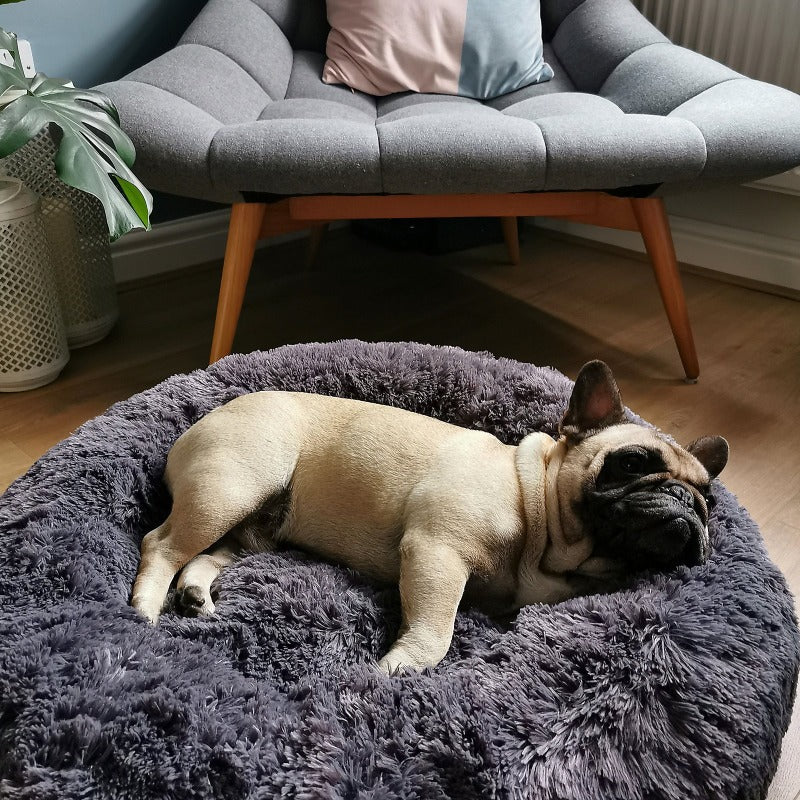 Brehn | Runder Plüsch Beruhigender Donut Hundebett für kleine bis große Hunde