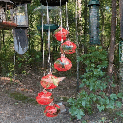 Brehn | CharmesHummingbird | Erwecke deinen Garten zur Magie
