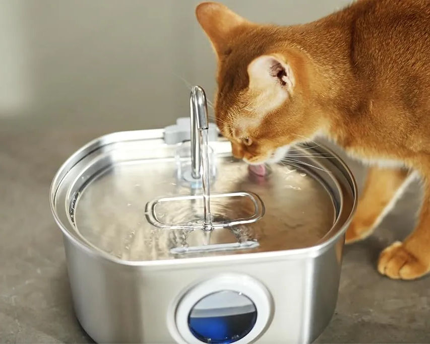 Extrem leiser Edelstahl-Trinkbrunnen für Haustiere mit Dreifachfiltersystem – 108,2 oz Fassungsvermögen für Katzen und Hunde