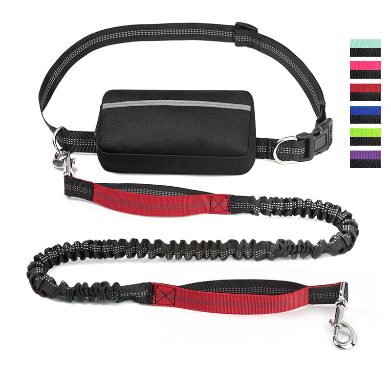 FlowLeash — Erleben Sie sanfte Kontrolle und entspannte Gassirunden ohne Rucke! | Brehn