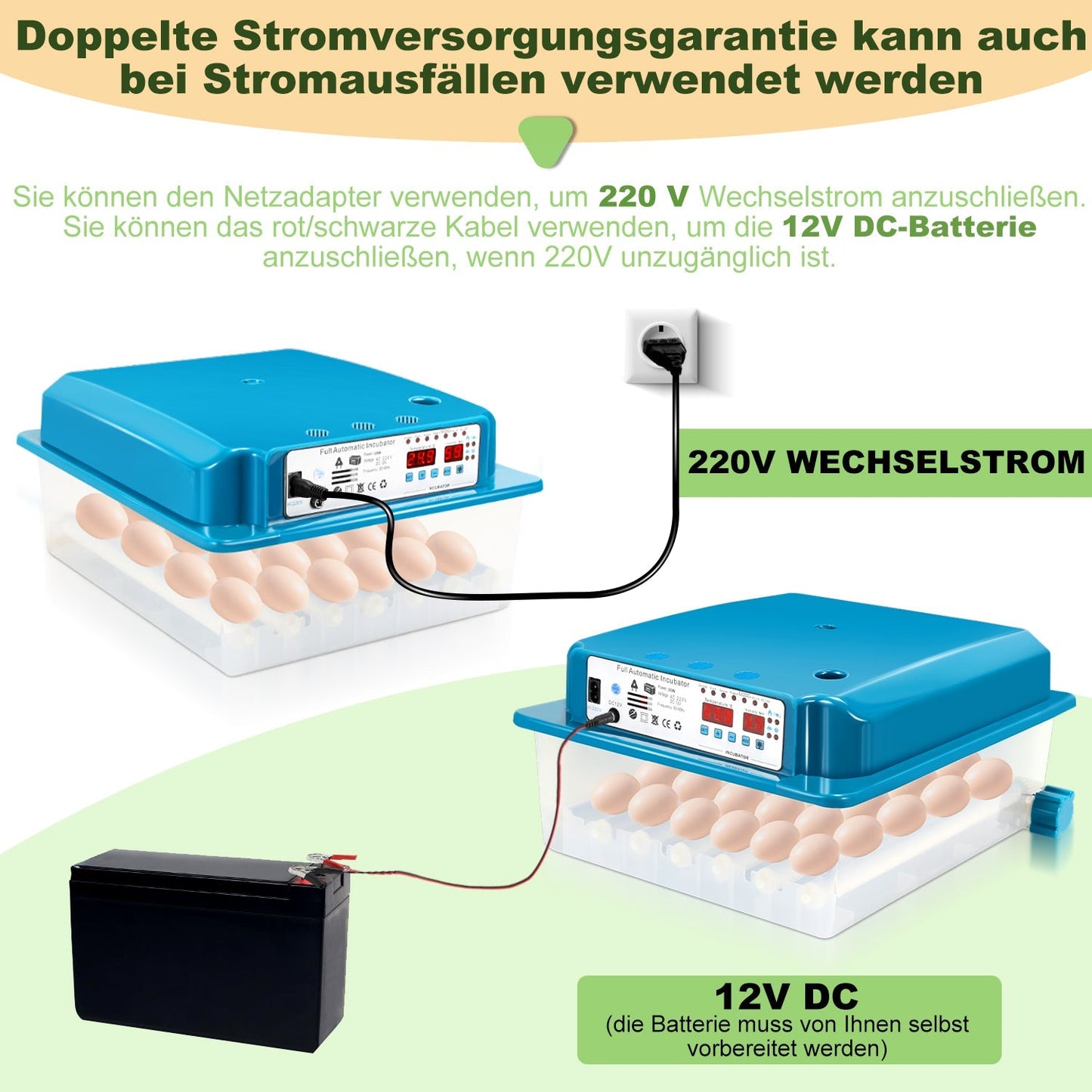 Brutautomat Vollautomatisch Inkubator für Hühner 36 Eier | Brehn