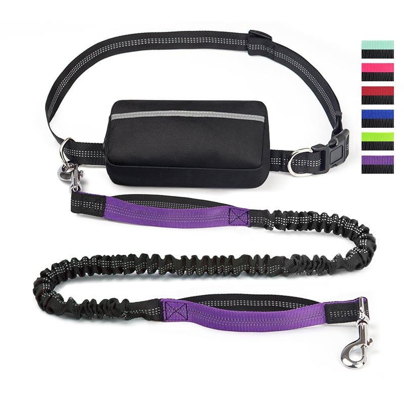 FlowLeash — Erleben Sie sanfte Kontrolle und entspannte Gassirunden ohne Rucke! | Brehn