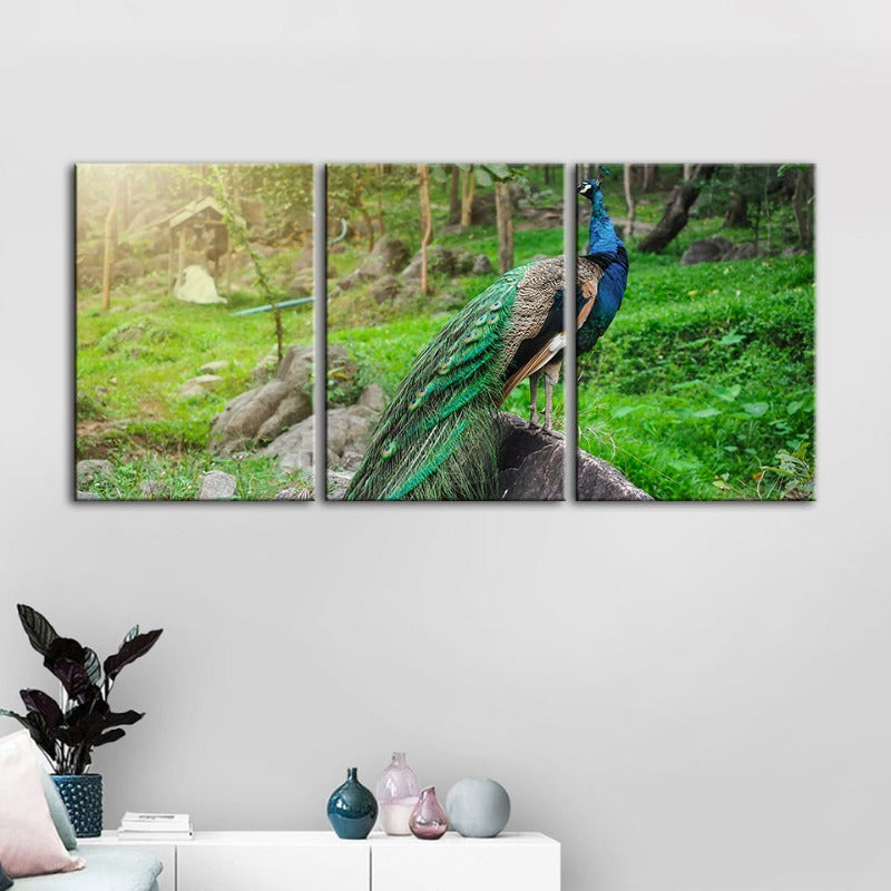 Würdevolles Sonnendurchflutetes Pfau-Leinwand Wandkunst Gemälde 3 Stück