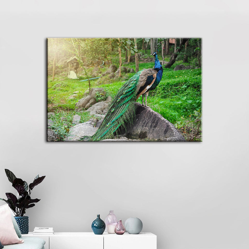 Würdevolle Sonnenlicht-Pfau - Leinwand Wandkunst Gemälde