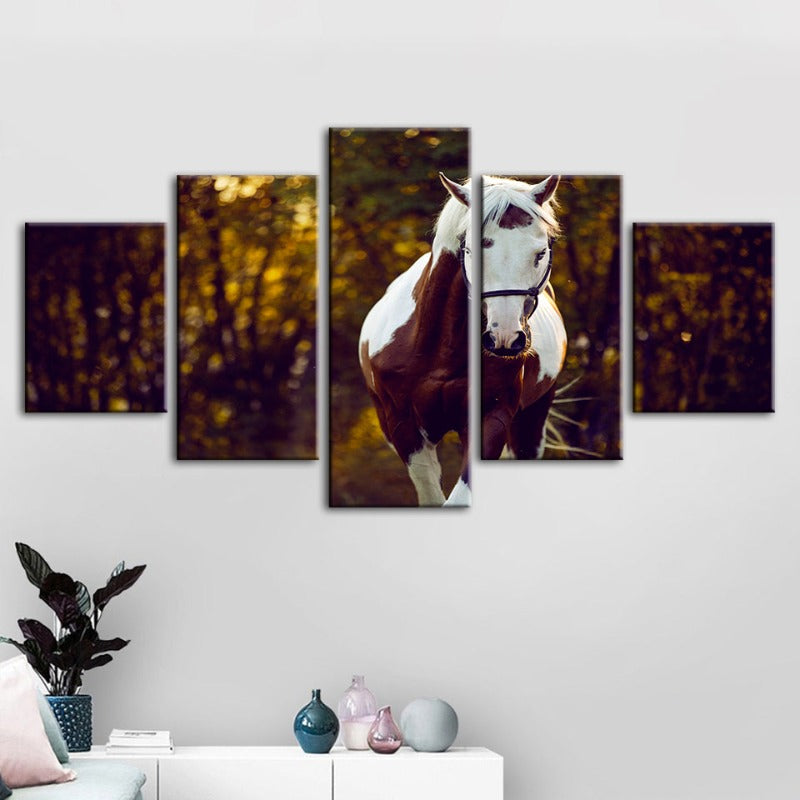 5-teilige Courtly Overo Pferd - Leinwand Wandkunst Gemälde