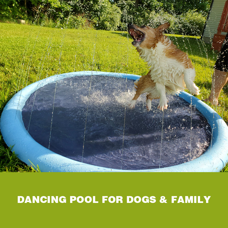 Brehn | Hund Sprinkler Pool 59''x59''