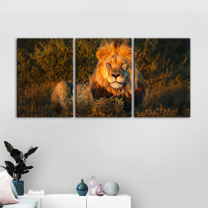Göttliches Sonnenuntergang Löwe-Canvas Wandkunst Gemälde 3 Stück
