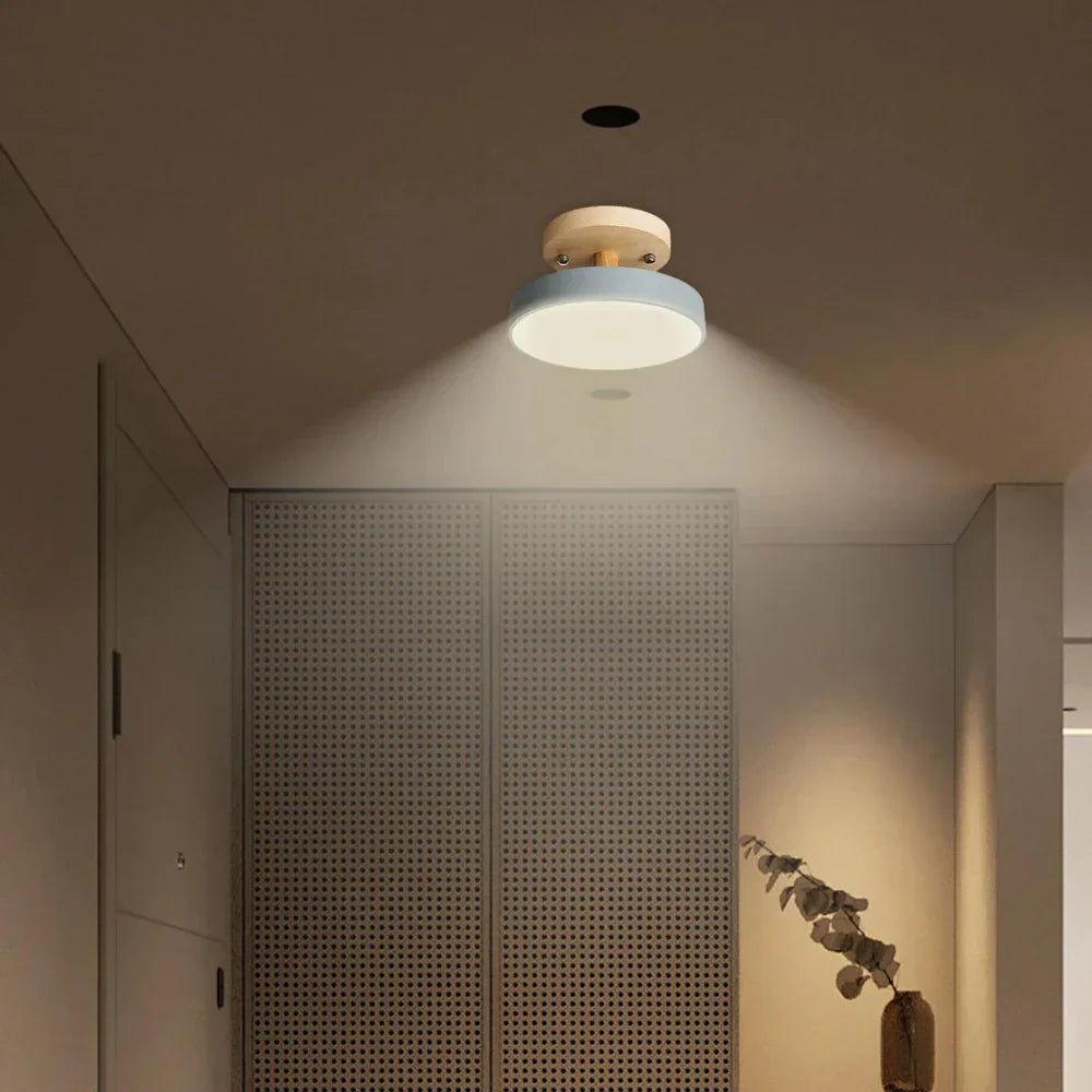 Brehn | Kompakte moderne LED-Deckenlampe