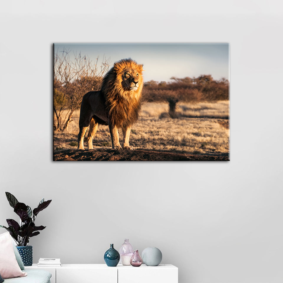 Majestischer Löwe, von Sonnenlicht durchflutet - Leinwand Wandkunst Gemälde