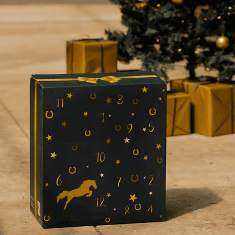 Brehn | Ponyleiste und Fransen Adventskalender 2024