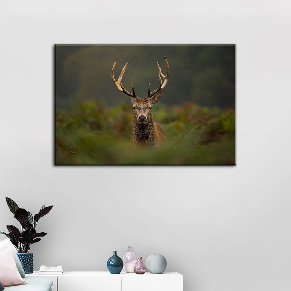 Neugierige Hirsche zwischen Farnen - Leinwandbild