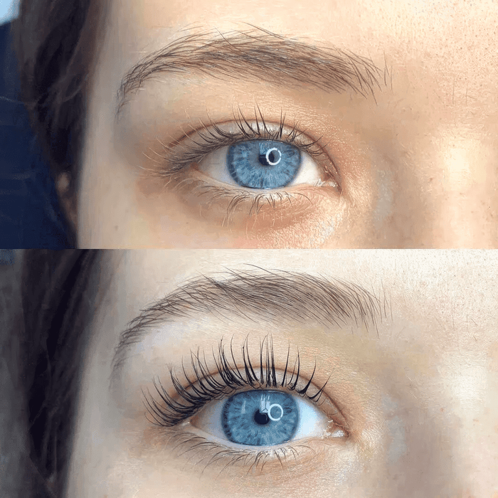 Brehn | LashCurl | Fesselnder Blick in einem Augenblick