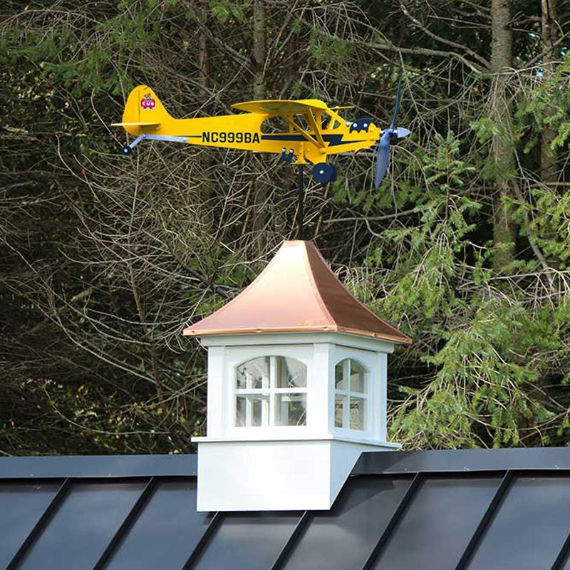 Brehn | Flugzeug Wetterfahne
