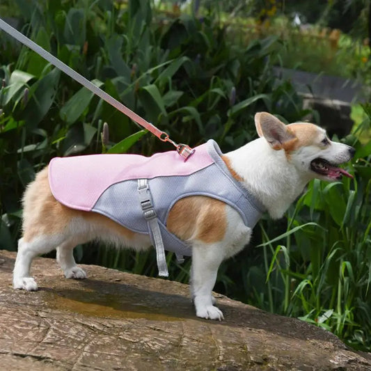 Hundekühlweste für Outdoor-Aktivitäten | Brehn