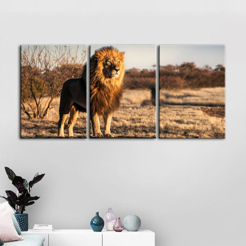 Majestischer Löwe in Sonnenlicht gehüllt - Leinwand Wandkunst Gemälde 3 Teile
