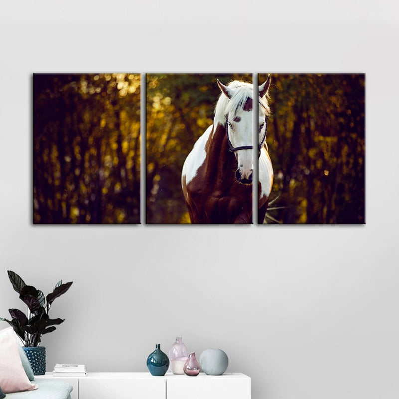 Courtly Overo Pferd – Leinwandbild, 3-teilig