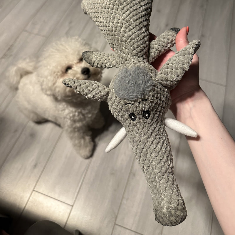 Extra starkes Hundespielzeug - Maximus