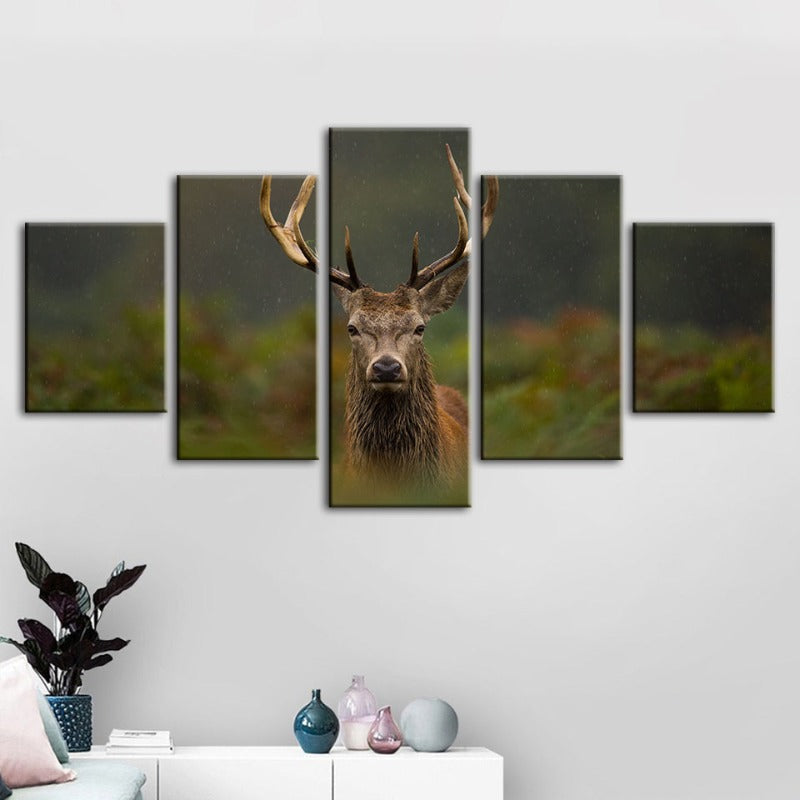 5 Stück Kuriositäten Reh Zwischen Farnen - Leinwand Wandkunst Gemälde