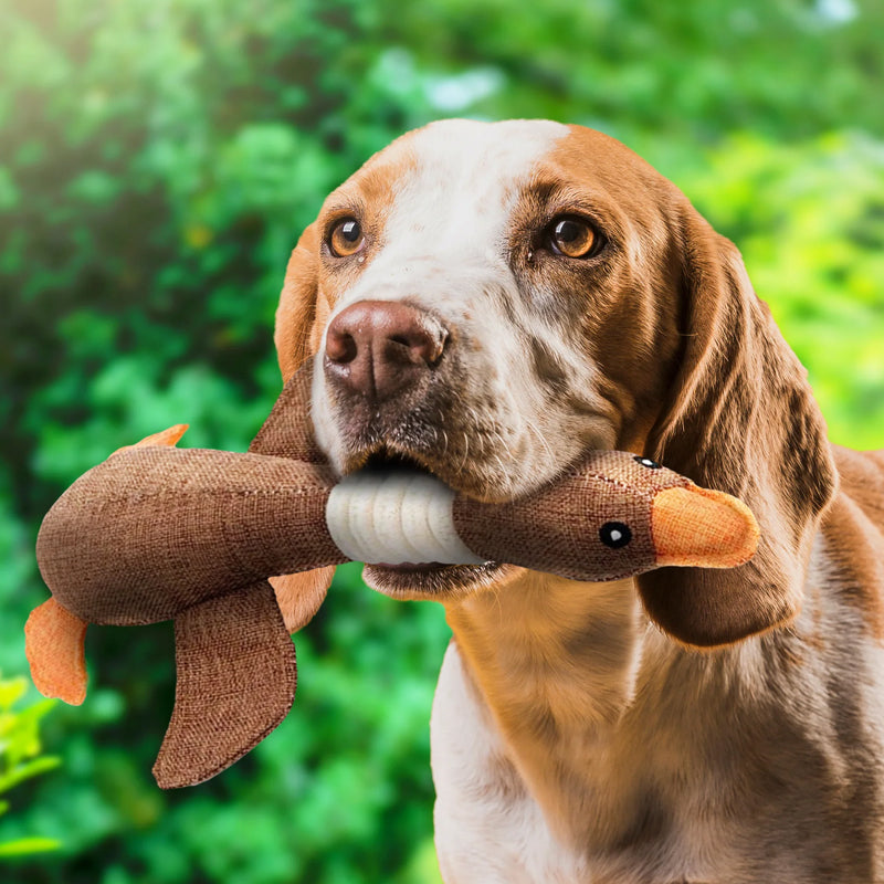 Unzerstörbares Hundespielzeug (1+1 GRATIS) - ToughGoose
