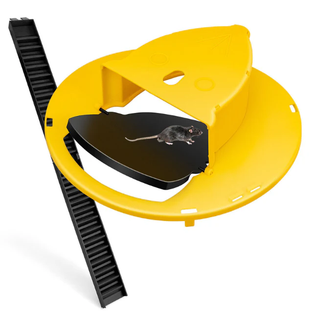 BowLift | Reusable Humane Bucket Live Humane Mouse Trap