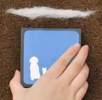 Magic Fur Brush | Brehn