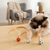 FetherSprint — Entfessle den wilden Jäger in deiner Katze mit lautlosem Spielspaß! | Brehn